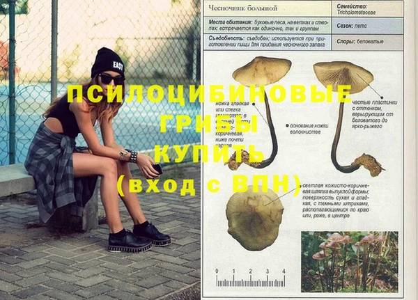 бошки Богородск