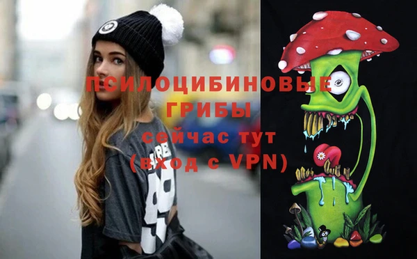 бошки Богородск