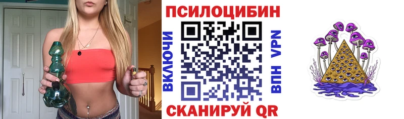Псилоцибиновые грибы Cubensis  купить закладку  Котовск 